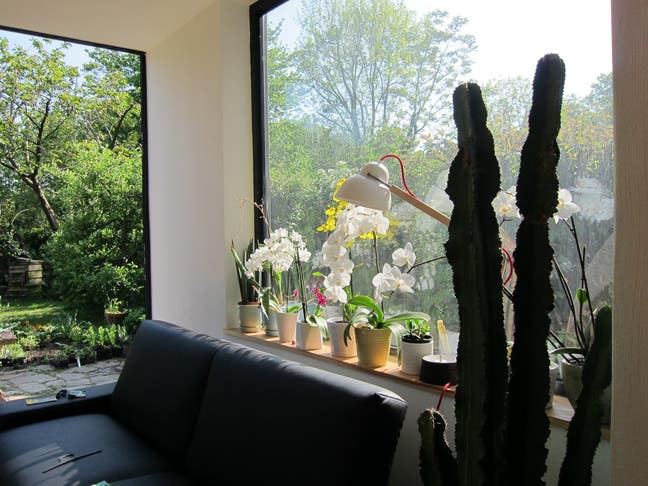 Spacious Highbury Garden Flat Main Photo