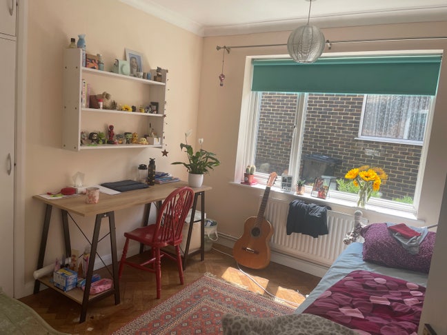 Spacious Light Filled Single Room  Main Photo