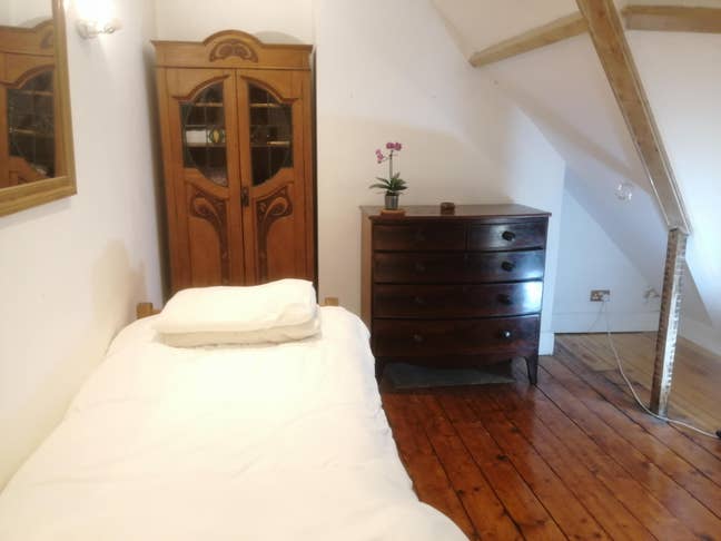 Big loft room Muswell Hill (N10) vegan houseshare Main Photo