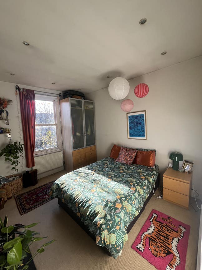 Homely, spacious, social house seeks housemate! Main Photo
