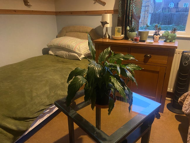 Single Bed Downstairs Room Main Photo