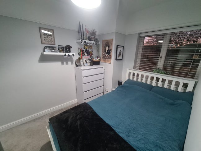 Female Professional House Share  Main Photo