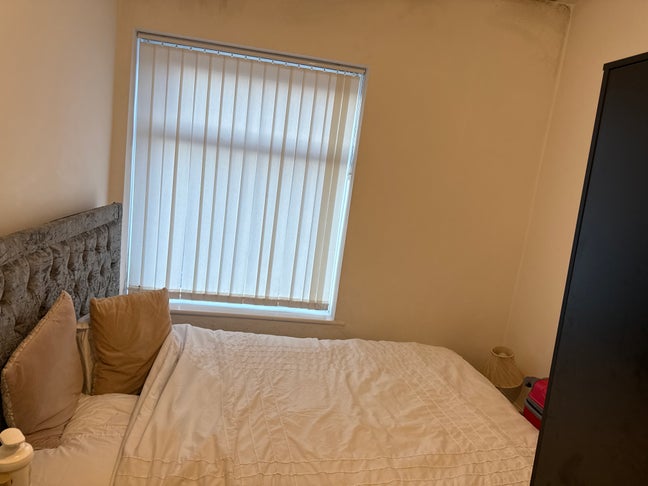 Hi I’m looking for a female student  Main Photo