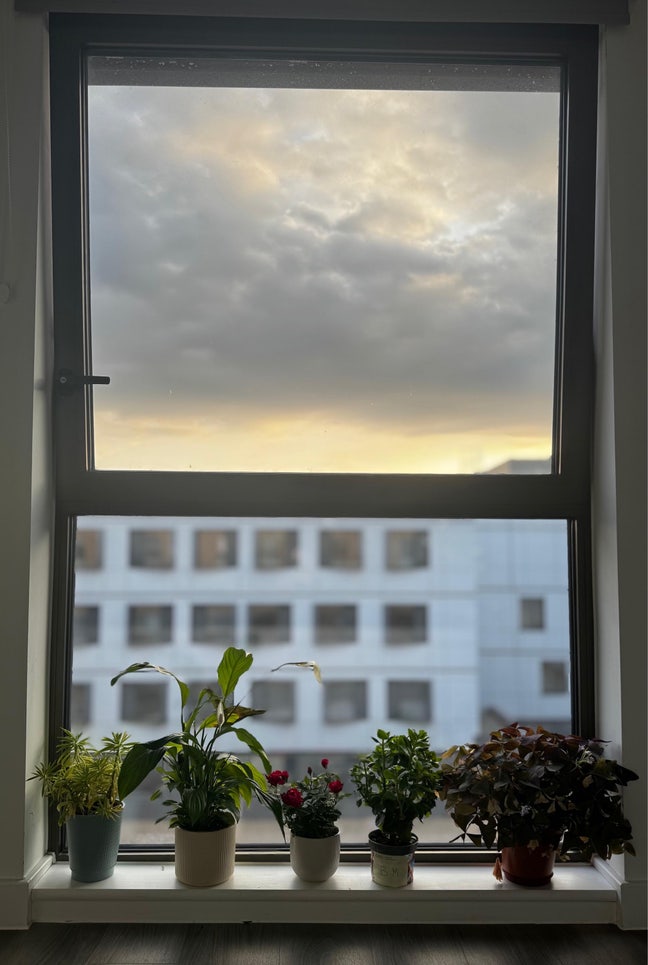 Large Elite Double bed En-suite  Main Photo