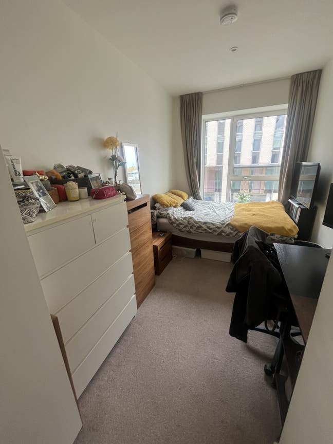 Room in lovely all female flat in Stratford Main Photo