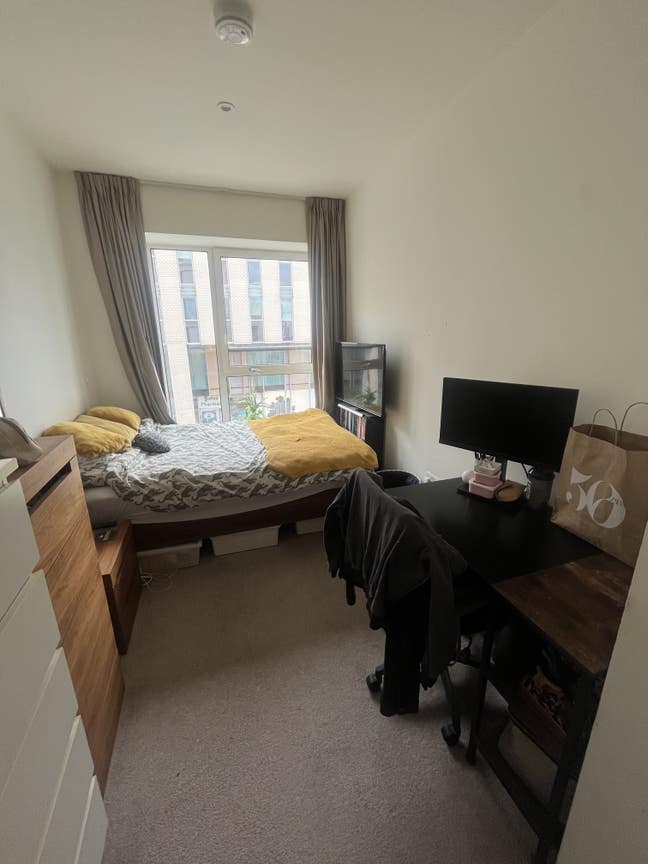 Room in lovely all female flat in Stratford Main Photo