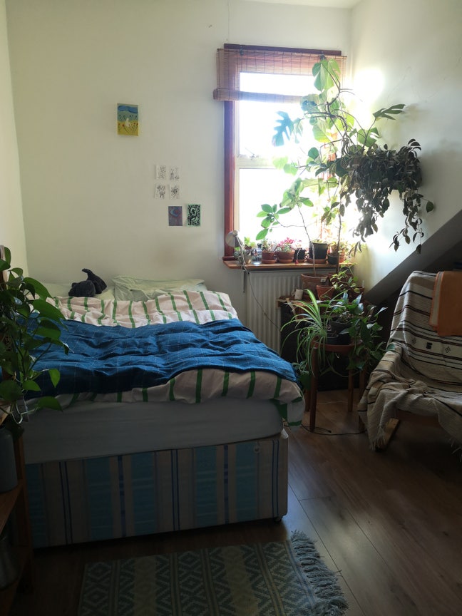 Double room available in stokey  Main Photo