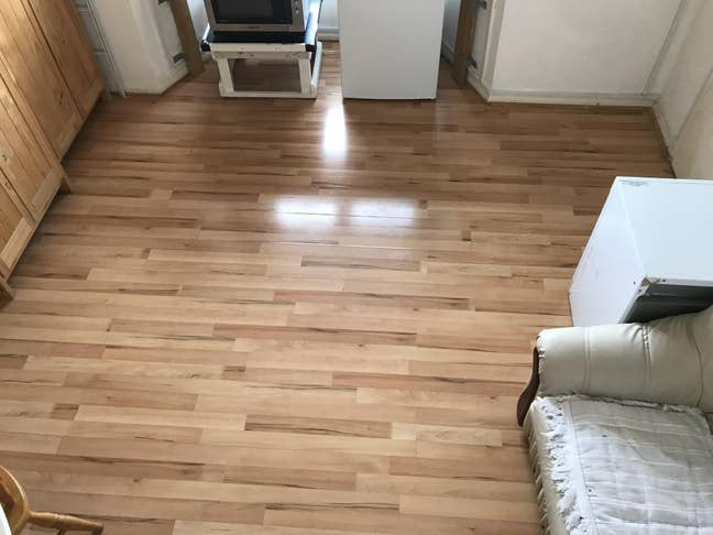 One spacious studio Main Photo