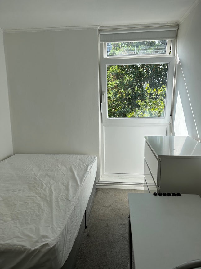 ☀️Double Room Near Battersea Bridge (SW11)🌸 Main Photo