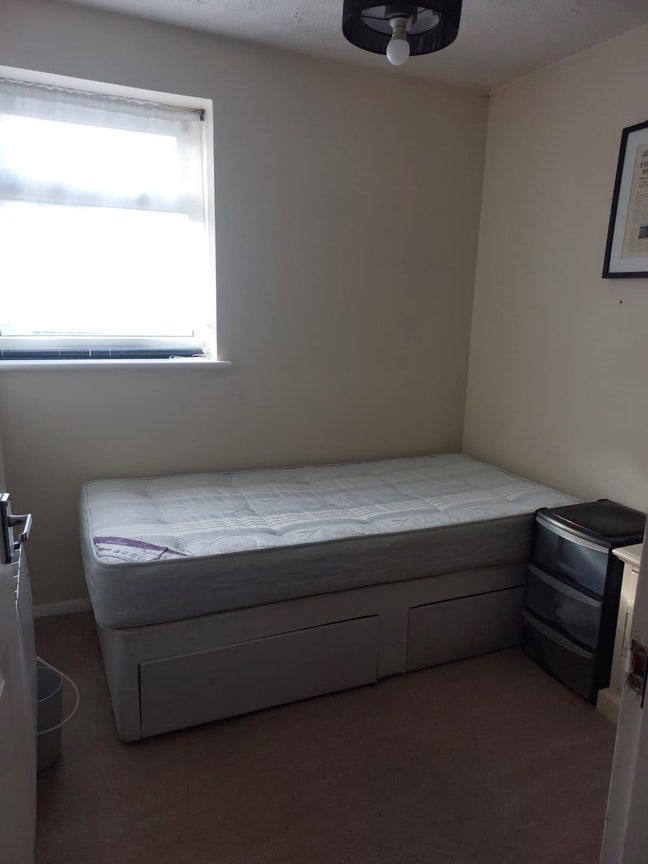 Looking for a house mate Main Photo