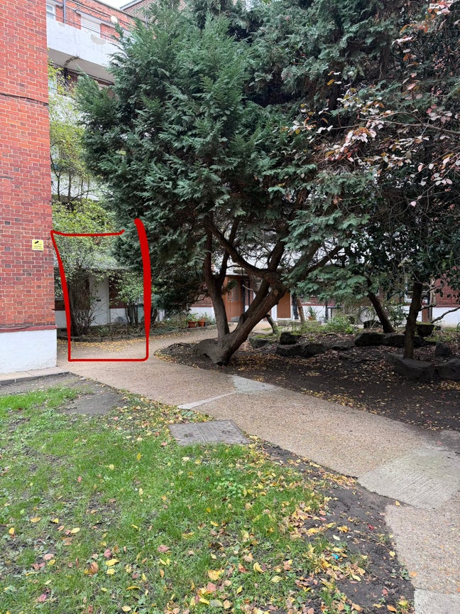 Female Preferred - One Single Room Available in Brixton Main Photo