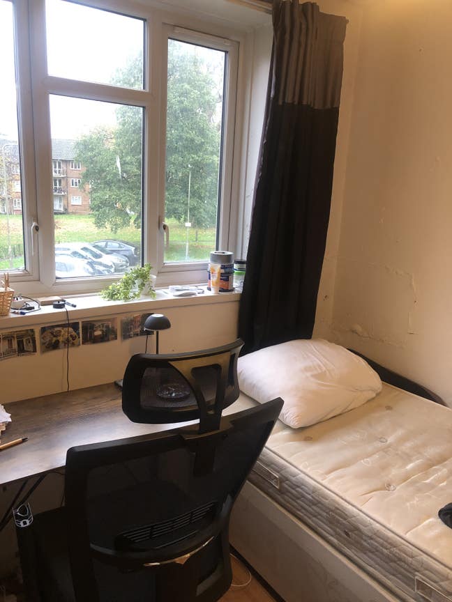 Lovely single room available in Putney! Main Photo