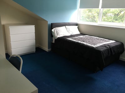 Large Room in Sociable Meanwood House Share Main Photo