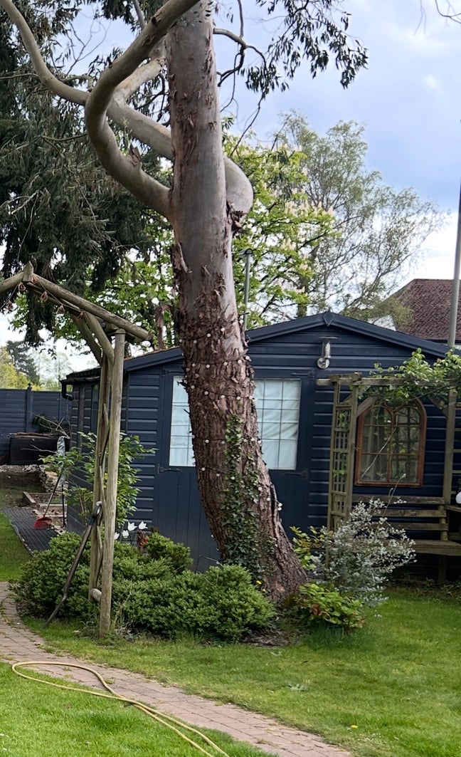 Private Garden Annexe Main Photo