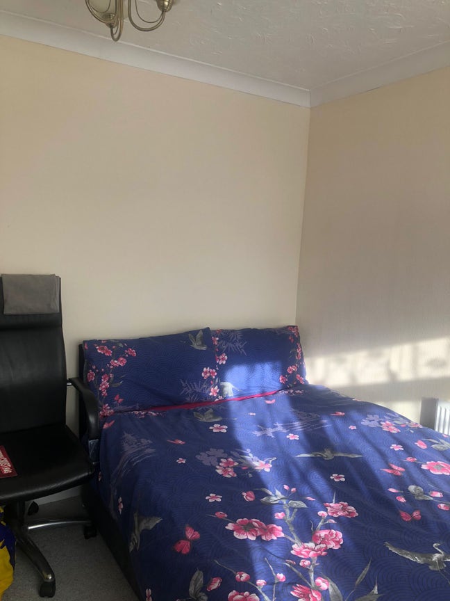 Double room for rent  Main Photo