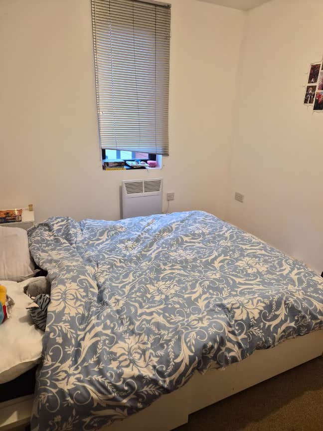 Single room in 3 bhk  Main Photo