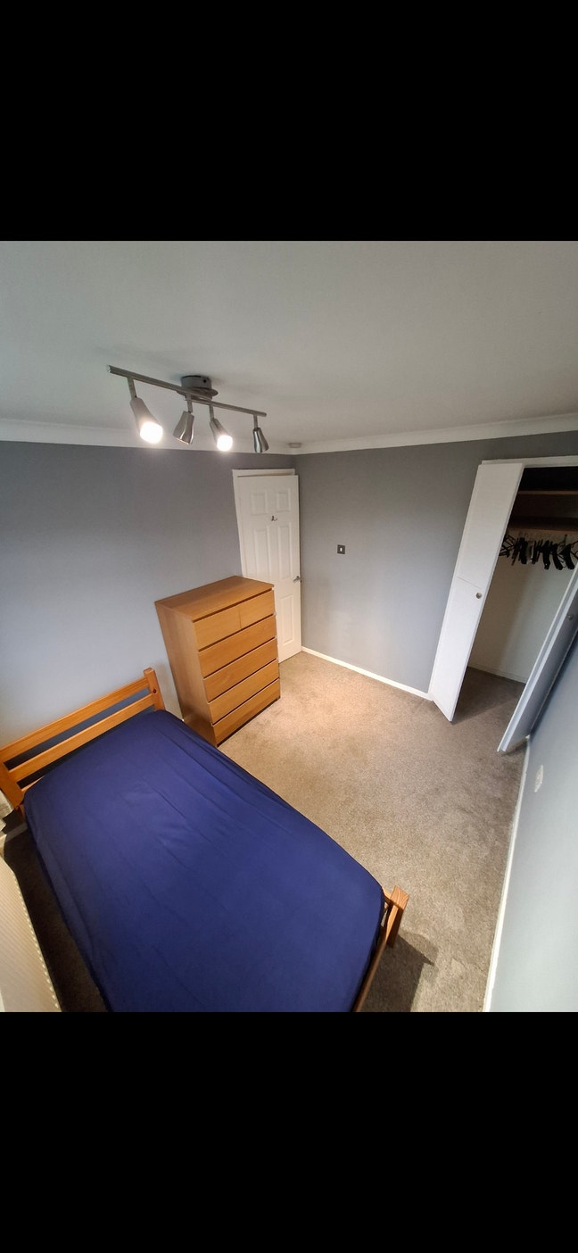 Private single room for rent Main Photo