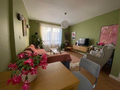 Double room available until end of June 2026 Main Photo