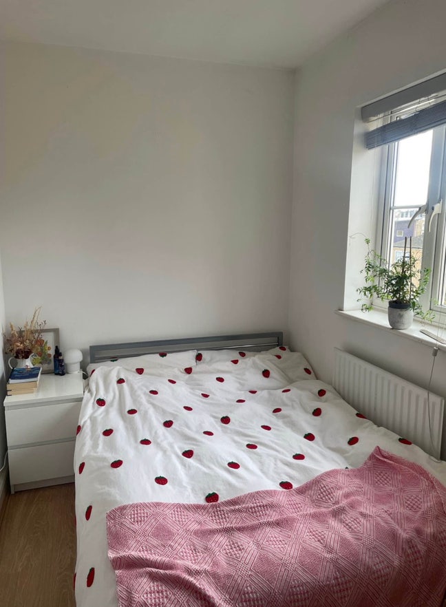 Sublet in 2 bed flat - 5th-31st Dec Main Photo