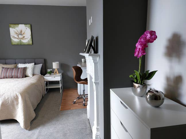 Ensuite Room with parking, close to college  Main Photo