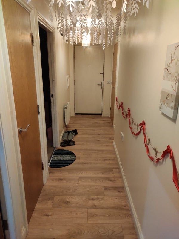 Looking for 01 flatmate  Main Photo