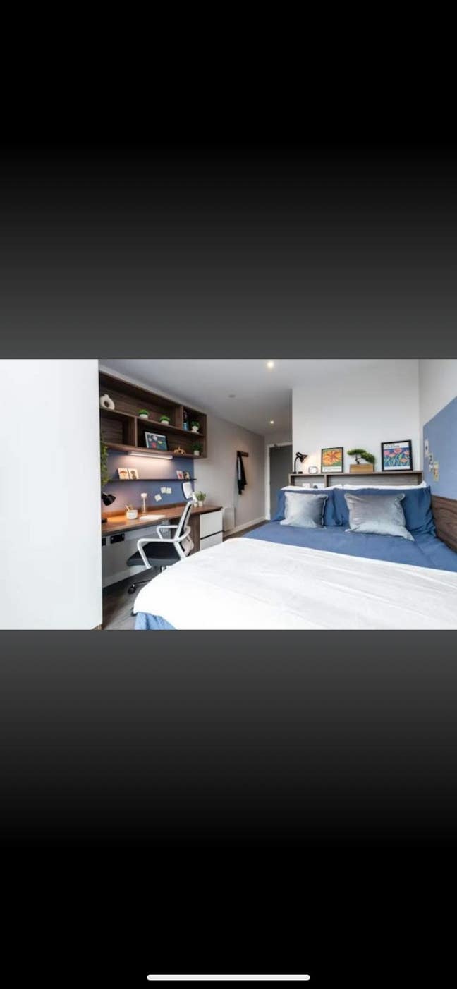 Nelson Place Student Roost Accomodation Main Photo