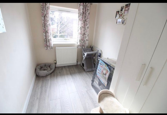 Single room  Main Photo