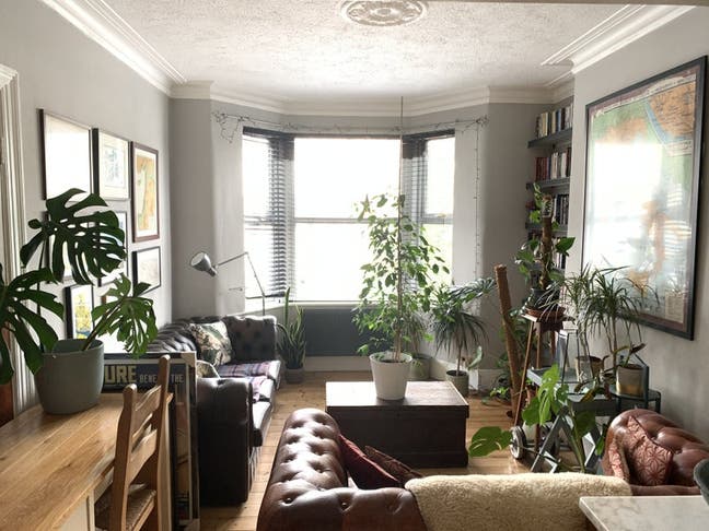 Beautiful, large room in clean, calm houseshare Main Photo