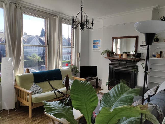 ROOM to sublet for Jan - Alexandra Palace  Main Photo