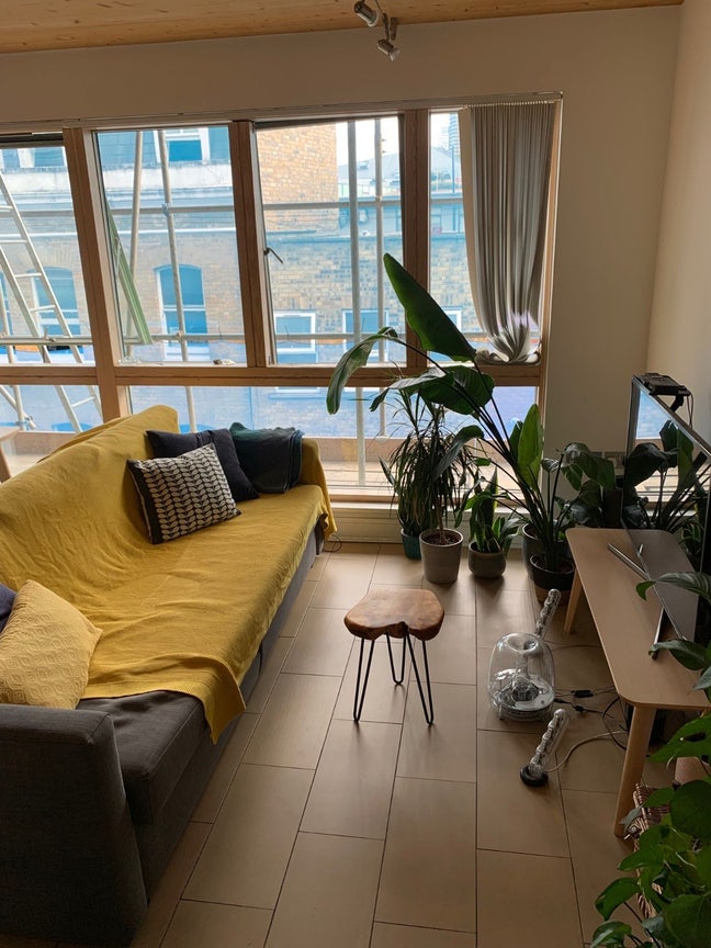 Lovely room in Hoxton  Main Photo