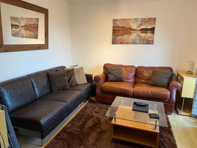 Stunning homely houseshare newly redecorated Main Photo