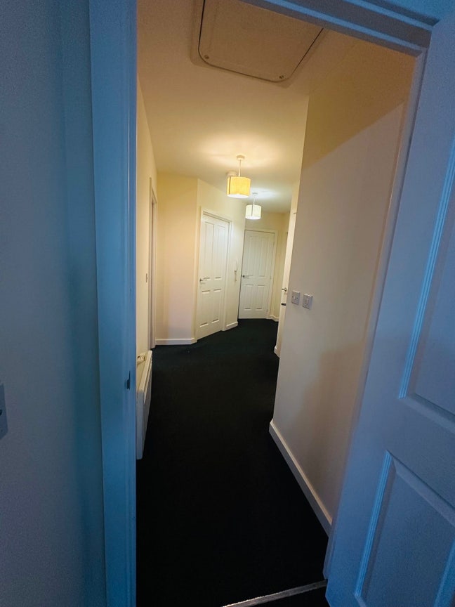 Looking for flatmate  Main Photo