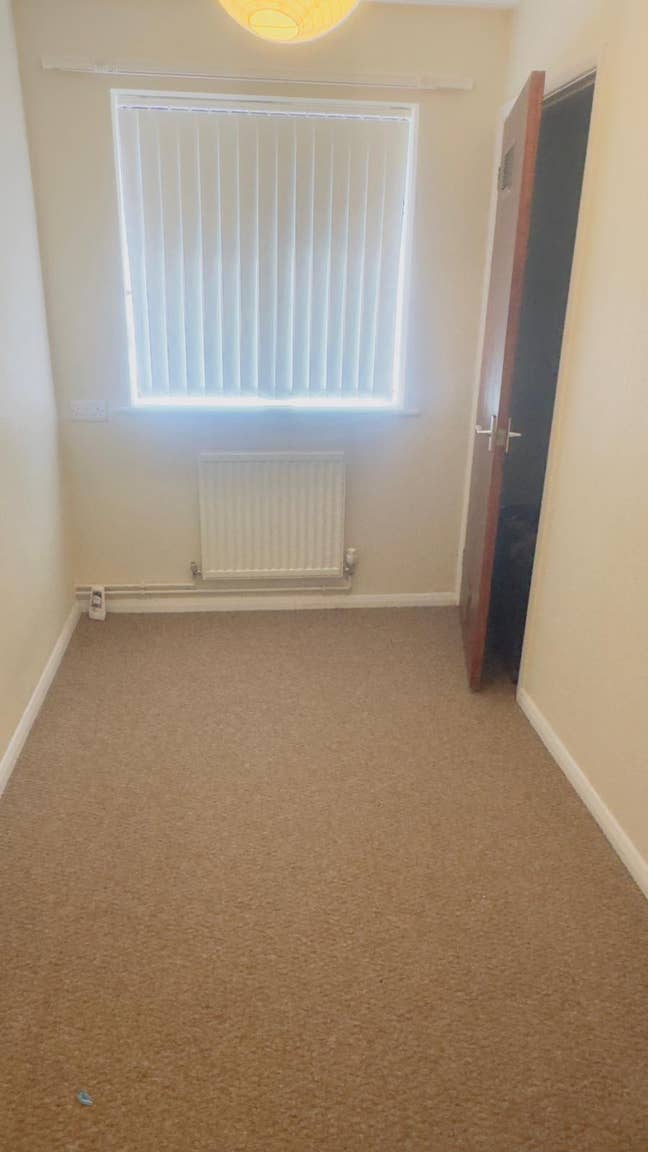 Double/Single room available  Main Photo