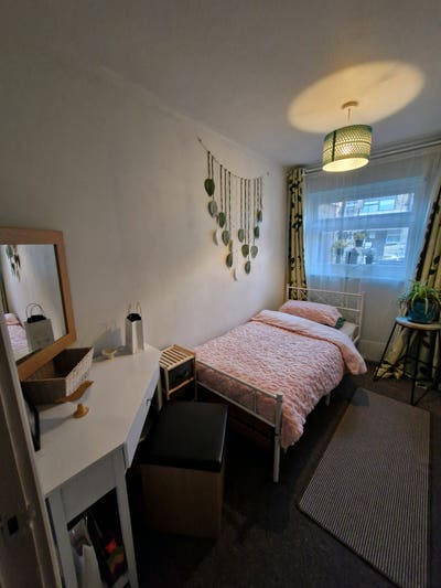 Lovely single room close to all amenities  Main Photo