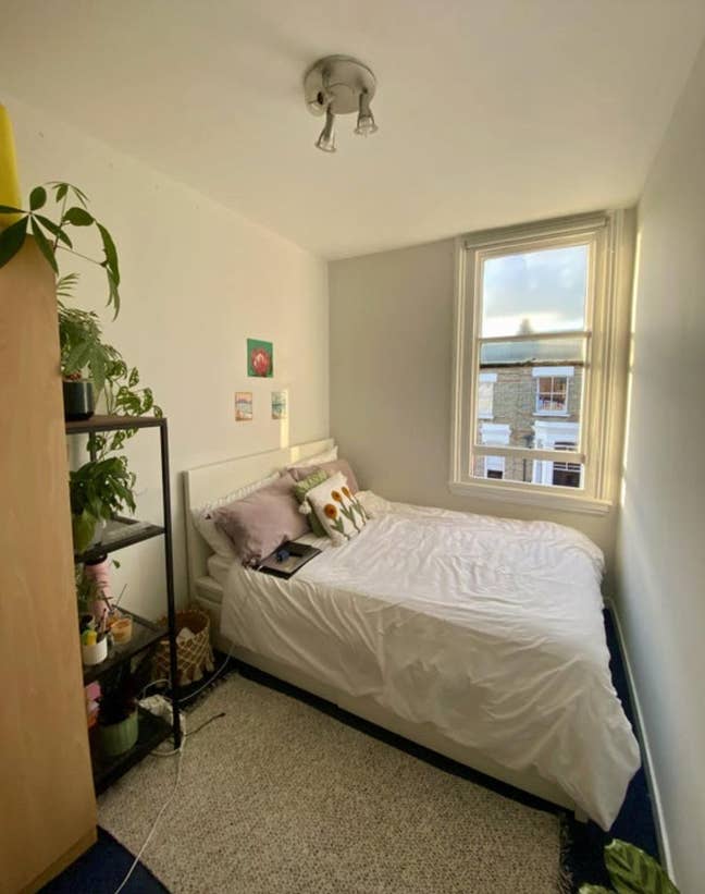 Beautiful sunny flat share in West Hampstead Main Photo