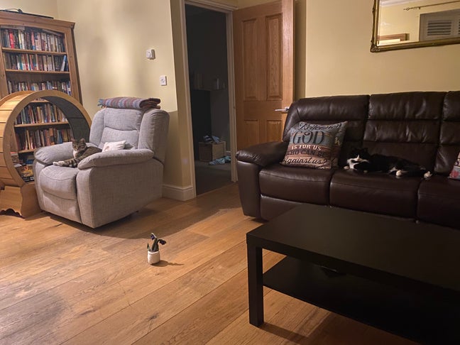 Quiet house in Bickley Main Photo