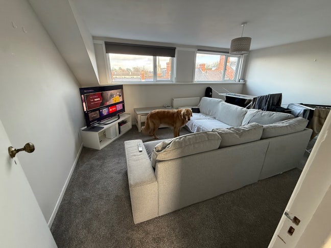 Large Bedroom in Holywood Townhouse  Main Photo