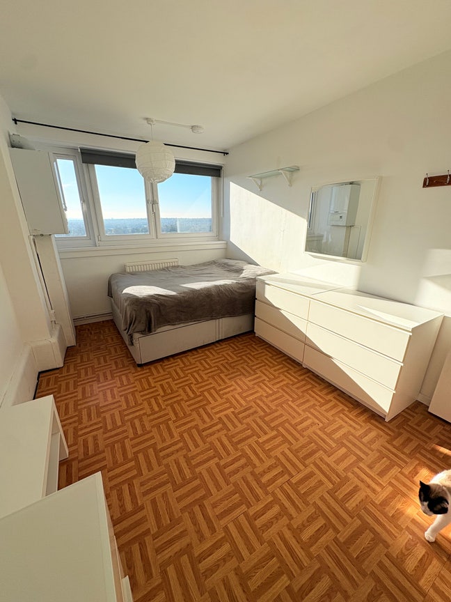 Bright, Spacious, Double Room in Roehampton  Main Photo