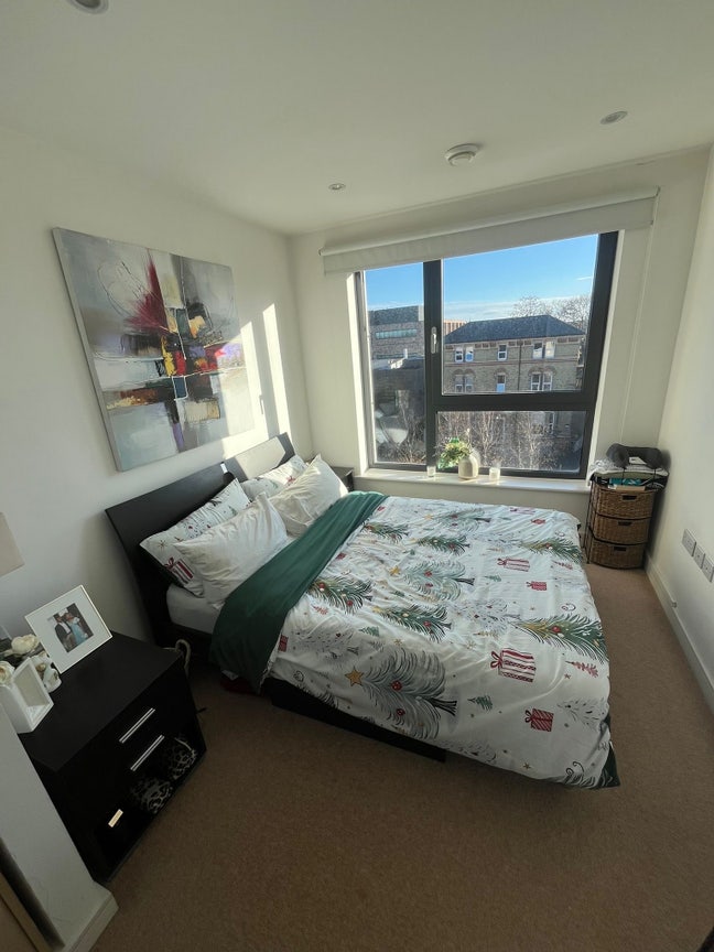 Room in Putney flat  Main Photo