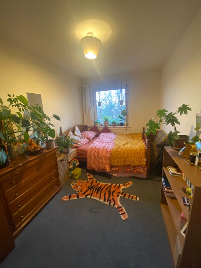 🚨 Flatmate wanted 🚨 Main Photo