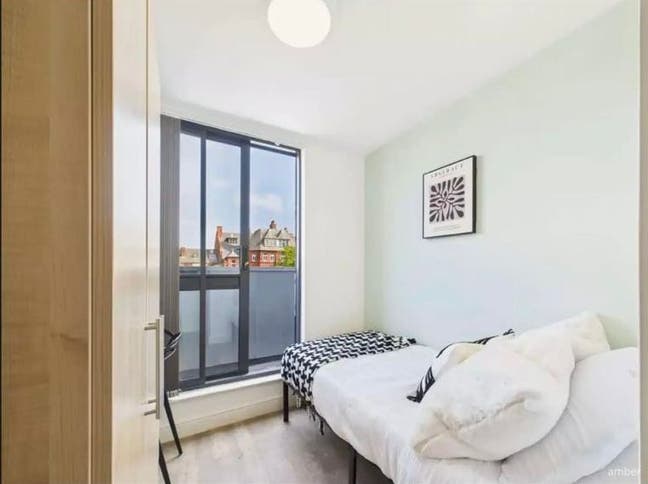 Room Available – Jan & Feb (with option to extend) Main Photo