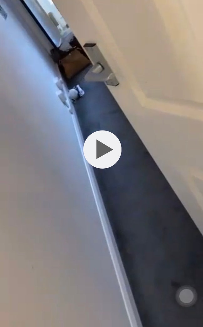 Double & single room available in E17 Main Photo