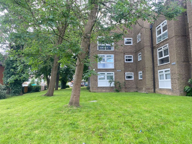 Single room available-move in date 1/2/26 Main Photo