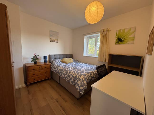 3 Cosy Double Bedrooms Available Close to Town/15a Main Photo