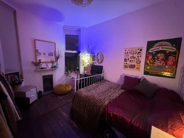 Edwardian Style Double Room in Acton Main Photo