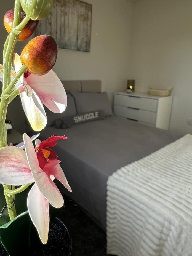 ✨Modern En-Suite Room// Tonbridge Grove// HU9✨ Main Photo