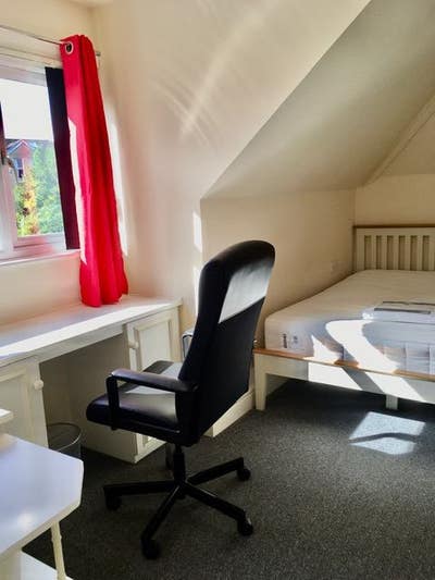 Room Available! Main Photo