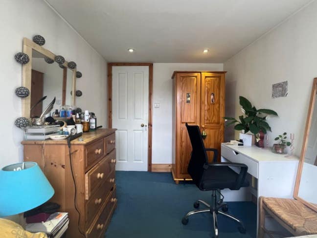 Calm, clean flatshare full of plants 🌿 Main Photo