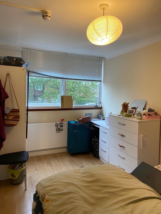 Cozy double room in North West London!  Main Photo