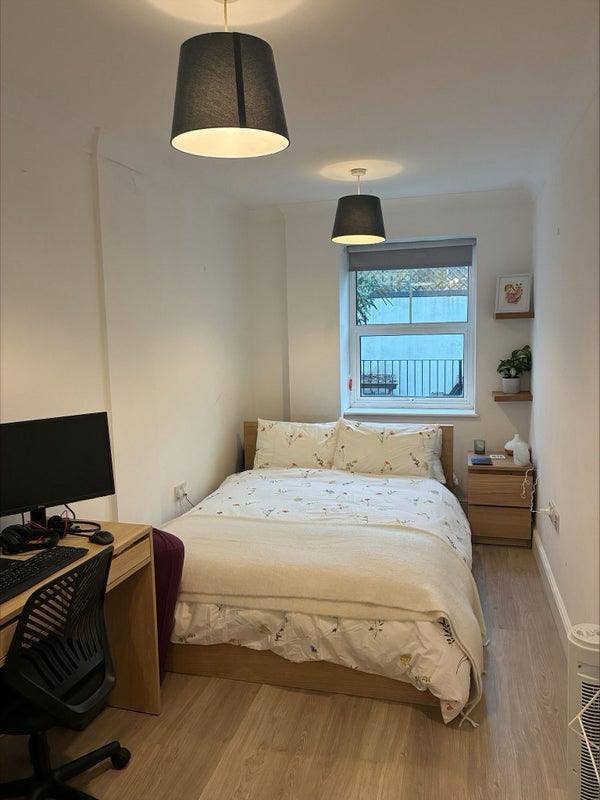 Double room in friendly Lower Clapton Flat  Main Photo